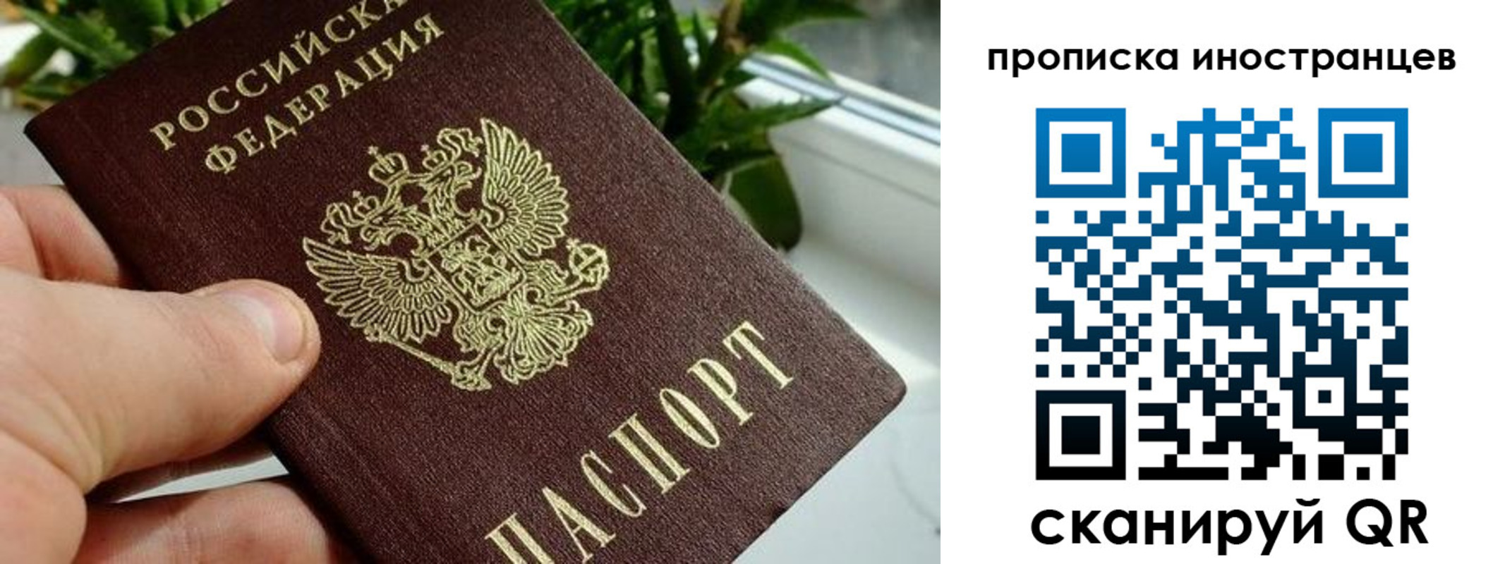 временная регистрация в Белокурихе
